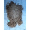 Racka 01